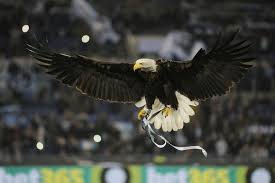 + лацио lazio primavera lazio under 18 lazio u17 lazio weitere lazio молодёжь. Pin On Lazio