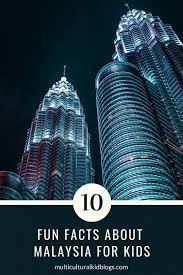 Every malaysian has strong opinions about where to find the best laksa or from which city you can find the tastiest rendang! 10 Fun Facts About Malaysia For Kids Multicultural Kid Blogs