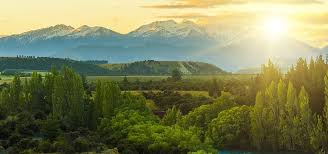 Muscular, immune, nervous and respiratory systems are involved in the process of sneezing. Travel Requirements By Destination Covid 19 Information Hub Emirates Germany