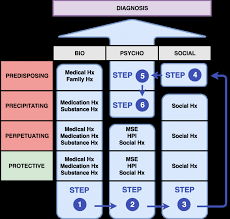 Biopsychosocial Model Biopsychosocial Assessment Template Social Work Pdf Nursing Care Plan Templates Blank Awesome Biopsychosocial Model And Case Formulation Psychdb Nursing Care Plan Nursing Care Care Plans