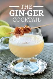 Gin Ger Recipe Ginger Cocktails Margarita Drink Recipe Delicious Cocktails