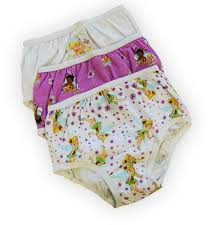 Tinkerbell Fairies Underwear Panty By Hanes