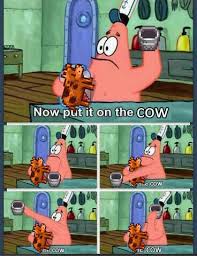 Trying To Milk Cows In Stardew Valley Like Stardew Valley Stardew Valley Fanart Animal Crossing