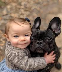 Great photograph!! ❤️ #aussie #australianshepherdpuppy #aussiepuppy  #australianshepherd #aussielove #dog