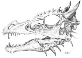 How to draw a dragon, step by step. Realistic Dragon Skull Art Skull Art Drawing Skull Drawing Sketches Realistic Dragon