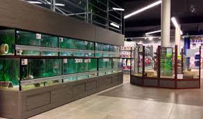 Szanowni klienci, informujemy o zmianach w regulaminie programu lojalnościowego bonus e.leclerc. Nilufar Strasbourg Geispolsheim