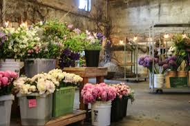 Then in 1980 we acquired their tacoma operation and we had two wholesales houses operating in the northwest. June At The Seattle Wholesale Growers Market Rosemary S Blog
