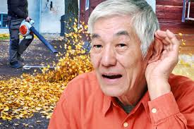 Protests Erupt Over Hamptons Gas-Powered Leaf Blower Ban