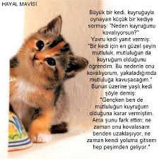 Mutlu Olabilmek Google Da Ara G Kedi Evcil Hayvanlar Yavru Kediler