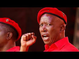 Malema was elected a chairman of the youth league julius malema is a world leader, zodiac sign: South Africa Julius Malema Re Elected As Eff Leader Youtube