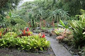 My 2007 Trip To Costa Rica Tropical Garden Tropical Plants Garden