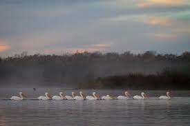 John meets the lake, probably 1948. Pelican Outpost Abnc