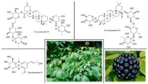 Nootropic Herbs, Shrubs, and Trees as Potential Cognitive Enhancers