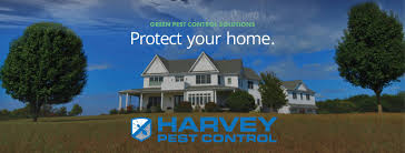 Even if pests are abundant for the predaceous and parasitic stages, many beneficials will do poorly unless flowering. Harvey Pest Control Home Facebook