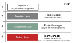 Organization Prince2 Wiki