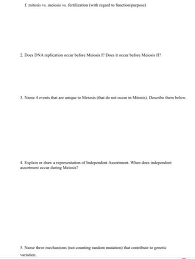 Does Independent Assortment Occur During Meiosis 2