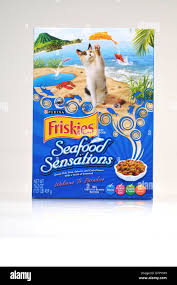 Cat food hi-res stock photography and images