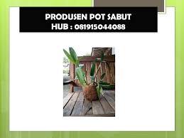 Check spelling or type a new query. Terpercaya 0819 1504 4088 Pot Anggrek Sabut Kelapa Harga Pot Sabut Kelapa Jakarta By Rifan Rustanda1 Medium
