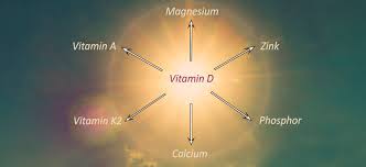 Research is still scarce, but current evidence suggests that, through their effect on calcium regulation, some forms of vitamin k can help prevent osteoporosis and cardiovascular diseases. Vitamin D Wichtige Nahrstoffkombinationen