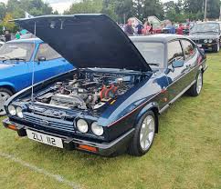 Image result for Blue 1978 Capri