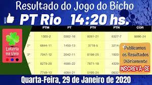 pin em resultado jogo do bicho