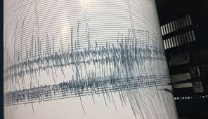 Nueva zelanda se encuentra en la falla entre las placas tectónicas del pacífico y oceanía y registra unos 14.000 terremotos cada año, de los que entre 100 y 150 tienen la suficiente potencia como para ser percibidos. Terremoto De Magnitud 6 9 Sacude El Norte De Nueva Zelanda Noticieros Televisa