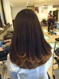 Panjang rambut mewarnai rambut hime memotong poni rambut unduh. Brown Hair Model Warna Rambut Highlight 2019 Gaya Rambut Gaya Rambut Panjang Warna Rambut