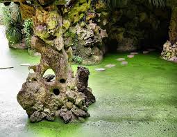 Grotto At Quinta Da Regaleira Sintra Portugal Sintra Desert Dreamer Wonders Of The World
