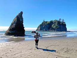 Land next to the sea; 11 Washington Coast Attractions You Must Visit In Your Lifetime