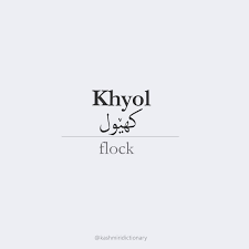 khyol khyol m flock group of birds animals or the like mass plenty khej f kashmiridictionary wordoft my dictionary word of the day flocking