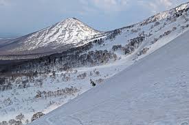 Image result for Hakkoda Walk