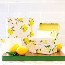 Pin On When Life Gives You Lemons