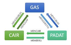 Nah, bagi anda yang sering mengalami alergi, maka anda dapat konsumsi buah zuriat untuk mengatasi alergi pada tubuh anda, buah zuriat bermanfaat mengobati alergi karena dalam buah ini mengandung flavonoid dan hydroxycinnamates (anti alergi). Macam Macam Perubahan Wujud Benda Cair Gas Dan Padat Belajar Mandiri Yuk