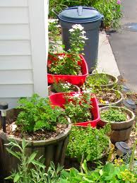 kitchen windowsill herb garden frugal