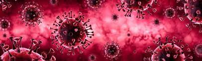 Cases Of Covid 19 Coronavirus In Nhs Highland Area Climb By 39