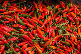 When fresh and fully mature, the fruit is about 5 mm (0.20 in) in diameter, dark red, and contains a single seed, like all drupes. Red Chili Peper Stock Photo Picture And Royalty Free Image Image 15906139