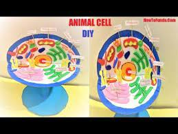 Check spelling or type a new query. Animal Cell 3d Model Science Project For School Exhibition Science Fair Model Howtofunda Youtube School Science Projects Animal Cell Animal Cell Project
