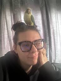 We are new to town and have a small parrot (sun conure), we are looking n g  for experiended short term boarding. And suggestions?