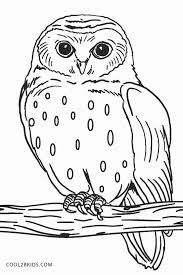 In addition to learning how to distinguish the difference between great horned, snowy, burrowing, and barn owls, your child can practice his vocabulary by completing an owl word search or crossword puzzle. Free Printable Owl Coloring Pages For Kids
