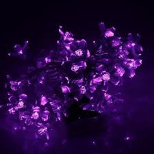 Purple Fairy Lights Purple Fairy Lights Lilac