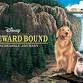 Homeward Bound: The Incredible Journey (1993)