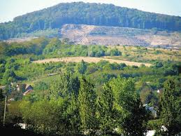 From wikipedia, the free encyclopedia. Habitat Of Aethes Hartmanniana In Sw Hungary Mecsek Mts 400 M Download Scientific Diagram
