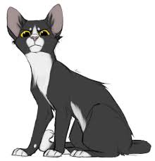 Talltail Star Warrior Cats Fan Art Warrior Cats Art Warrior Cat Drawings