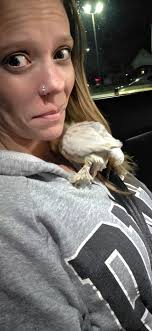 Chicken recovery from illness