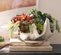 Check spelling or type a new query. Faux Succulent In Clamshell Pottery Barn