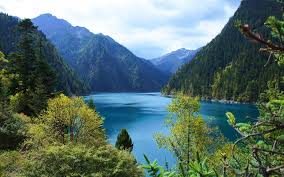 Herunterladen Hintergrundbild Berg See Landschaft Wald Berge China Jiuzhaigou National Park Landscape Wallpaper Landscape Mountain Landscape