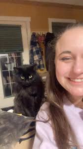 Kitty missing in Kings Heights, Airdrie AB