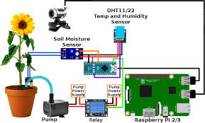 Plant Watering Using Soil Moisture Sensor