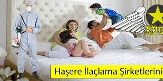 Hasere Ilaclama Firmalari Ile Hasere Ilaclama Hizmetleri Insan Sagligi Ve Konutlarin Guvenligi Icin En Fazla Ihtiyac Duyulan Yapidadir Bocek