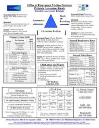 Nursing Assessment Forms Nursing Emergency Nursing Emergency Medical Services Pediatrics